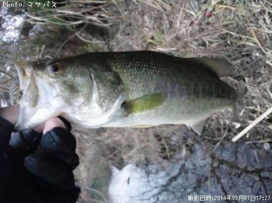 �֥�å��Х�