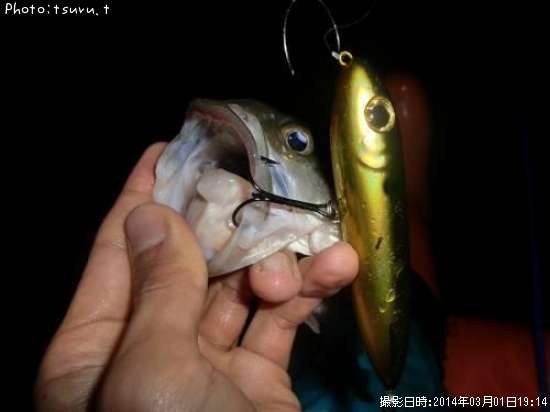 �֥�å��Х�