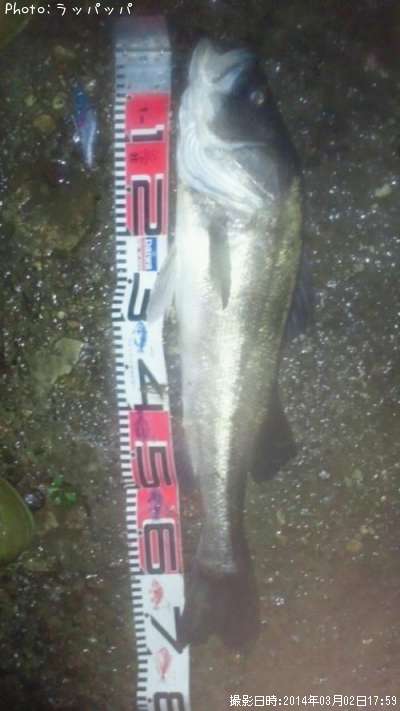 �����Х�