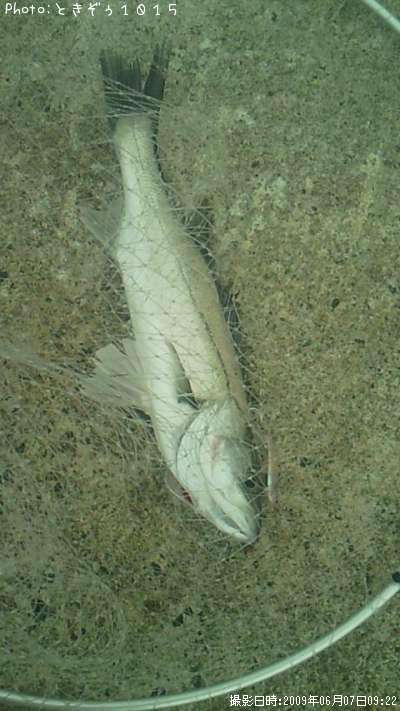 �����Х�