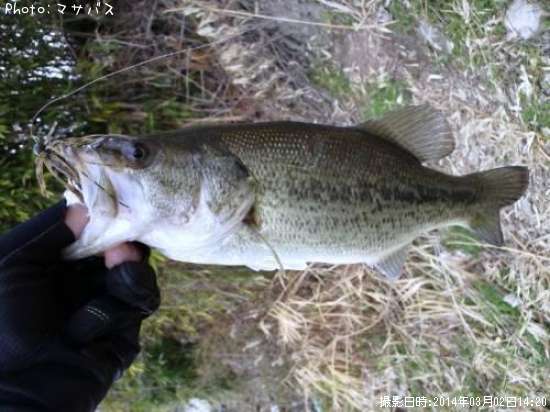 �֥�å��Х�