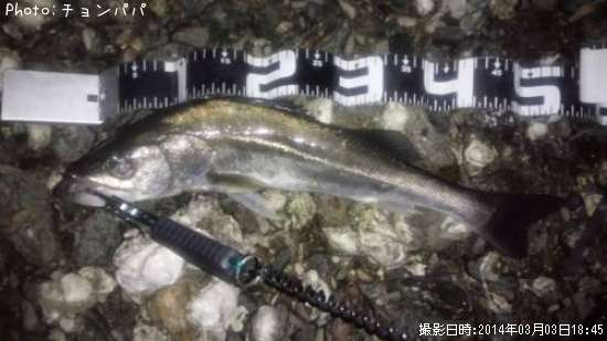 �����Х�