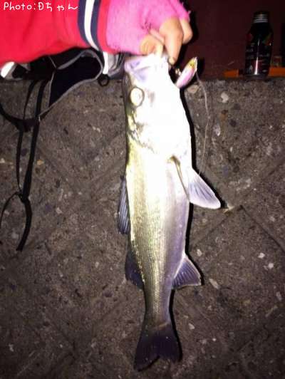 �����Х�