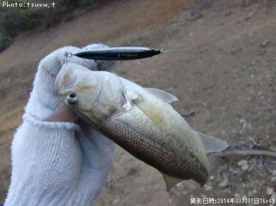 �֥�å��Х�