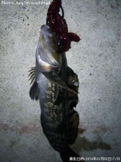 �����ʥ�