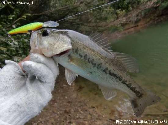 �֥�å��Х�