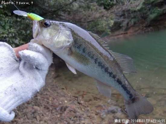 �֥�å��Х�