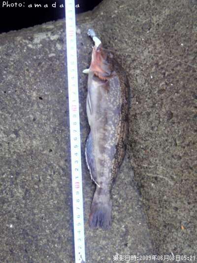 �����ʥ�