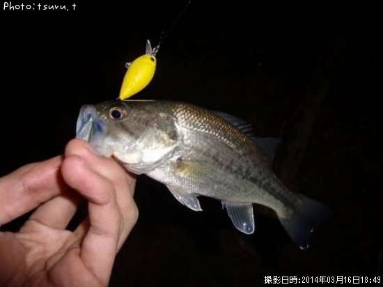 �֥�å��Х�