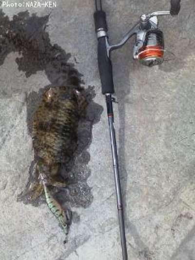 �����ꥤ��