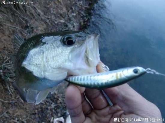 �֥�å��Х�