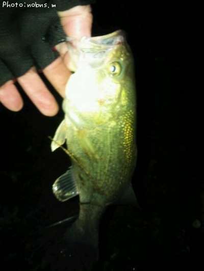 �֥�å��Х�