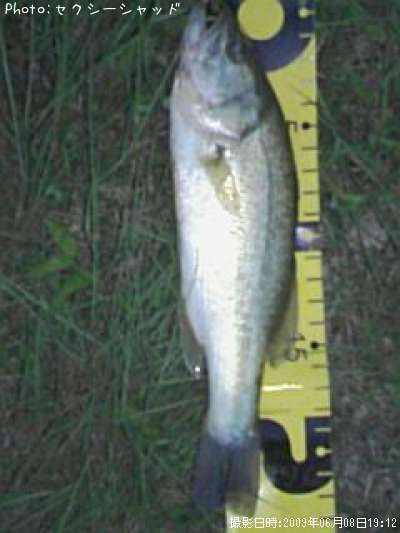 �֥�å��Х�