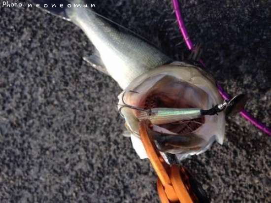 �����Х�