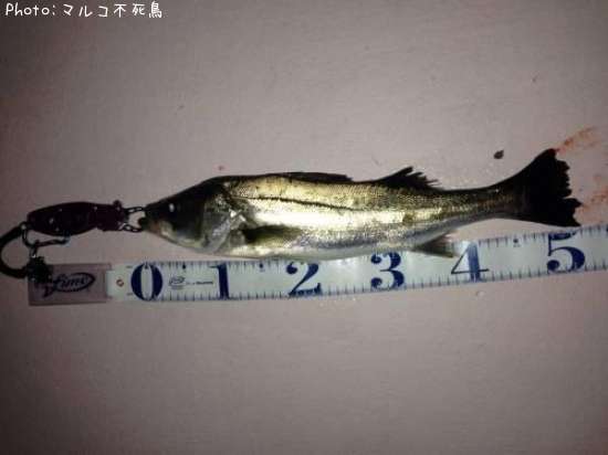 �����Х�