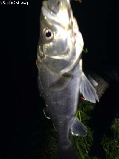 �����Х�