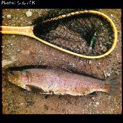 ���å��ȥ饦��