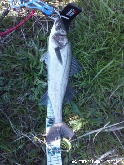 �����Х�