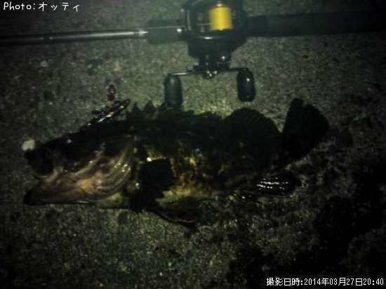 �٥å�������