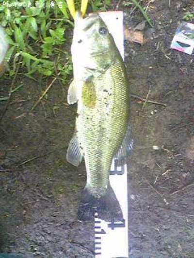 �֥�å��Х�