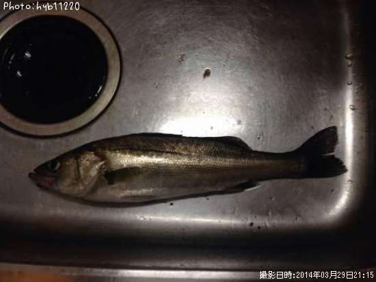 �����Х�