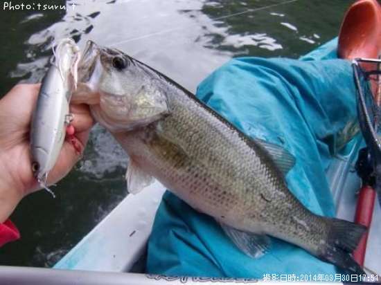 �֥�å��Х�