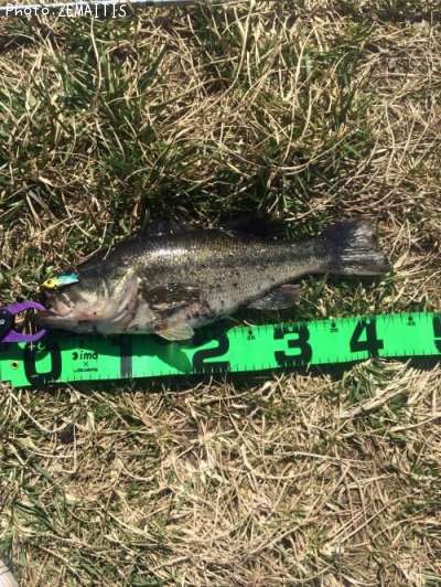 �֥�å��Х�