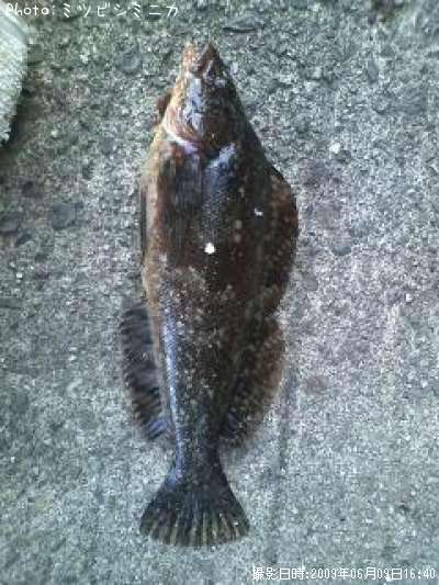 �����ʥ�