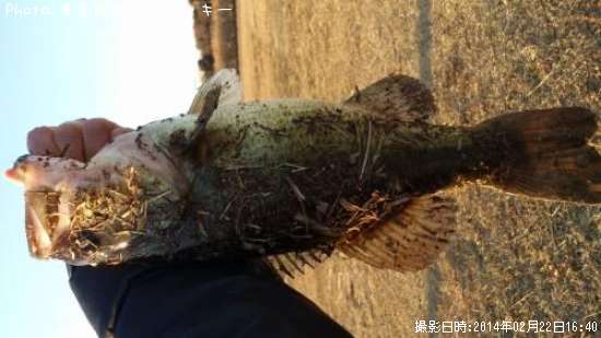 �֥�å��Х�