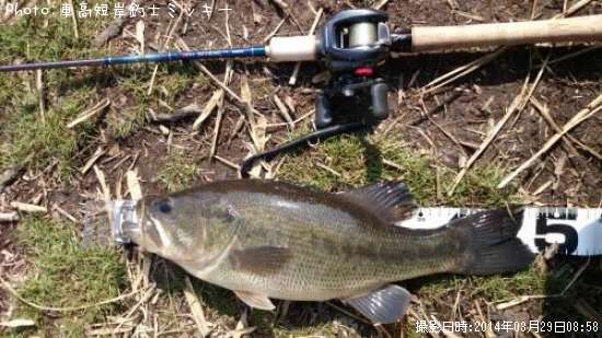 �֥�å��Х�