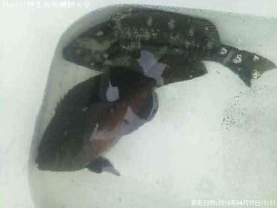 �����᥸��