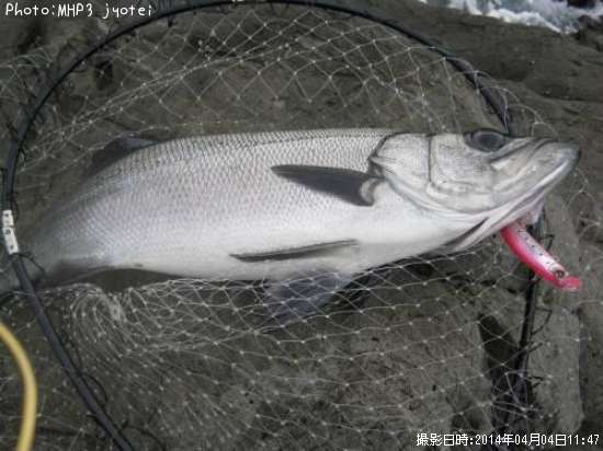 �ҥ饹����