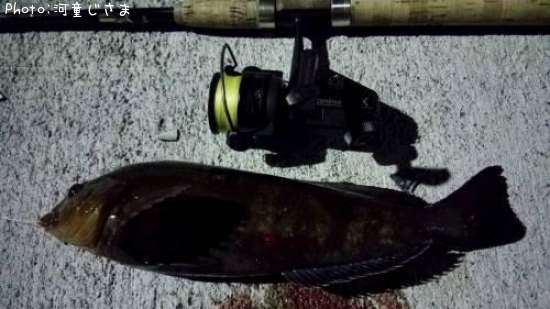 �����ʥ�