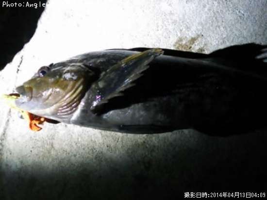 �����ʥ�