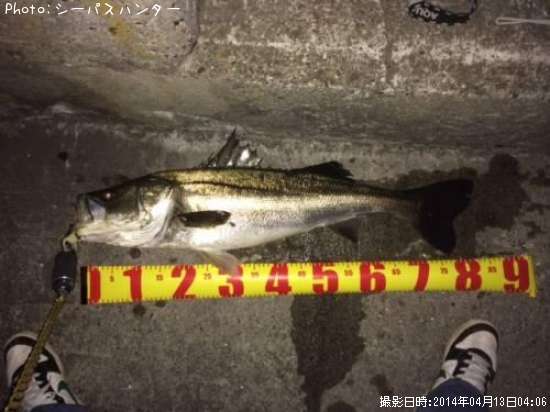 �����Х�