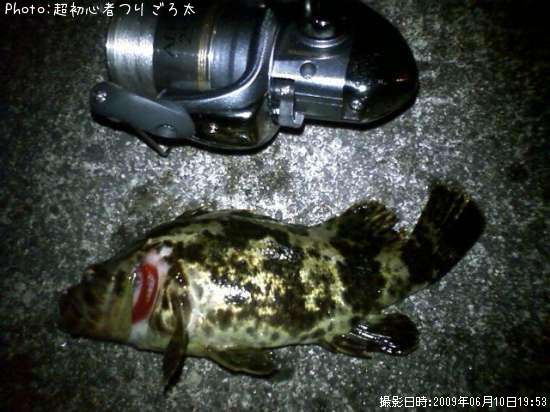 �٥å�������