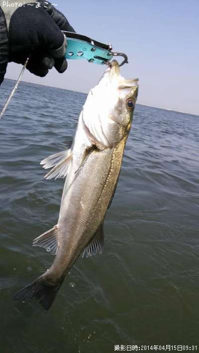 �����Х�