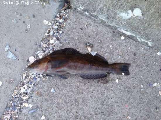 �����ʥ�