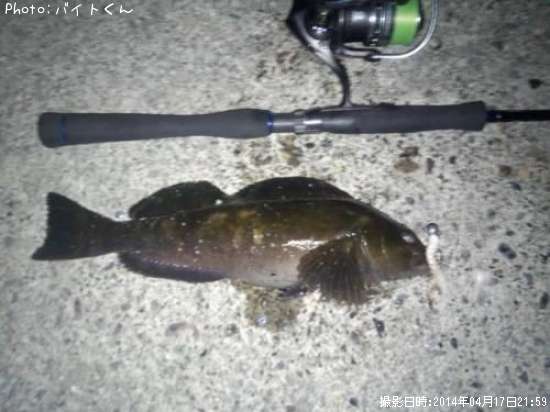 �����ʥ�