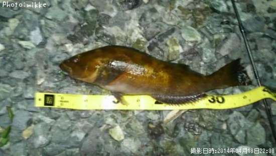 �����ʥ�