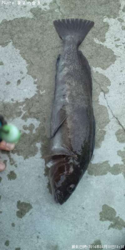 �����ʥ�