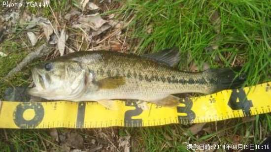 �֥�å��Х�