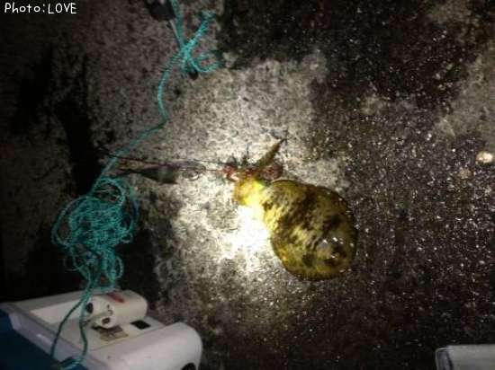 �����ꥤ��