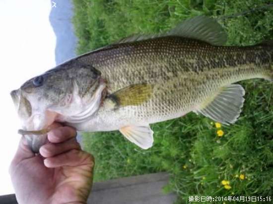 �֥�å��Х�