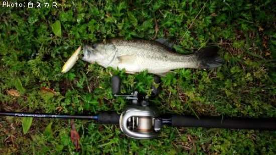 �顼���ޥ����Х�