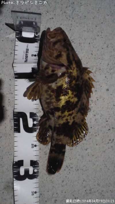 �����Υ���Х�