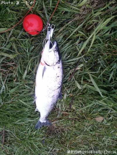 ������ޥ�