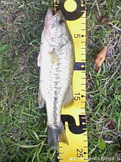 �֥�å��Х�