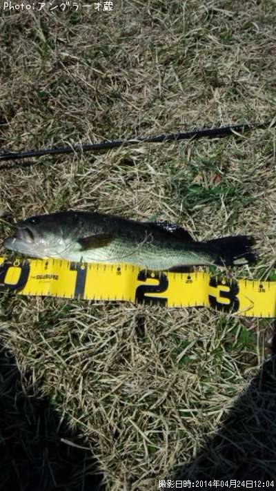 �֥�å��Х�