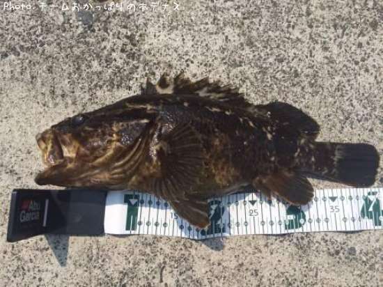 �����Υ���Х�